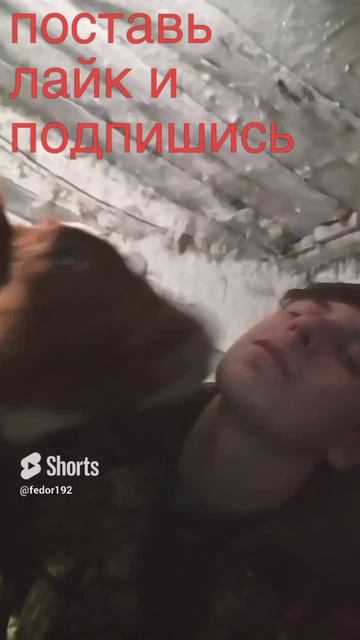 совсем мелкая