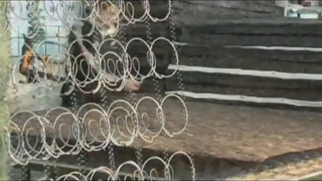 www.temp.com.ua - Видео о производстве