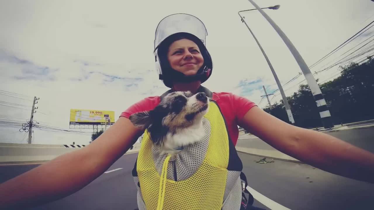 ВЛОГ: повседневная жизнь и катание на байке с Софи! 🐕🛵