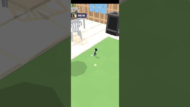 1000147550.mp4
