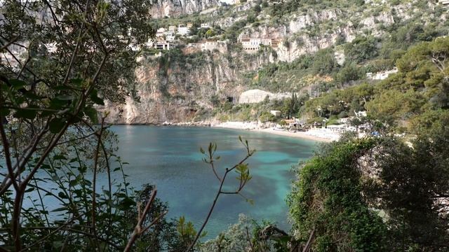 Bird Sounds, Ocean and Wind Breeze - Relax with the Soothing Sounds of Nature for a Peaceful Mind