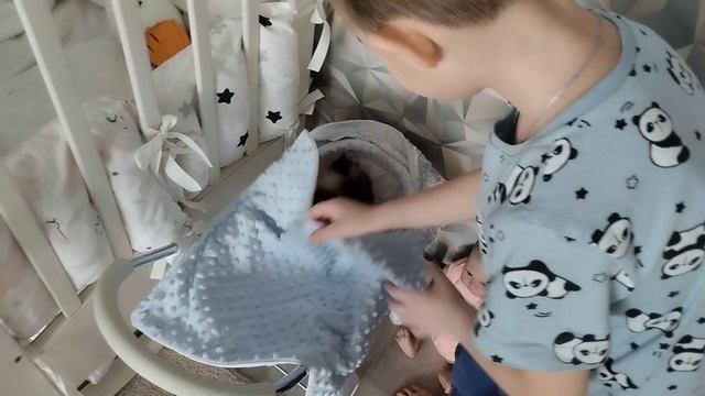 Денис и его забавная кошка
