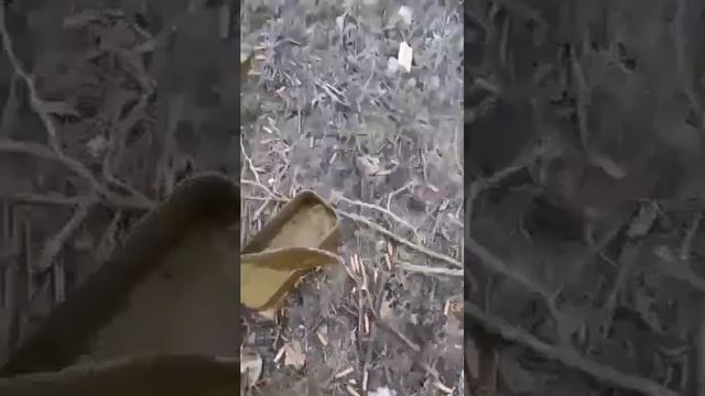 Уничтоженная в районе н.п. Кремяное Курской области бойцами 810 гв. обрмп, украинская боевая разв...
