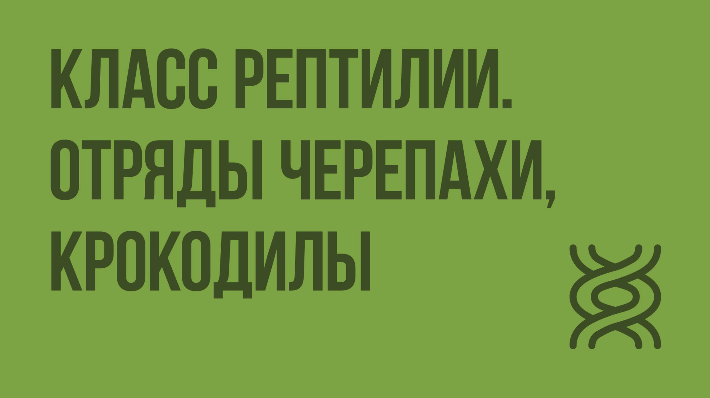 Класс Рептилии. Отряды Черепахи, Крокодилы. Видеоурок по биологии 7 класс