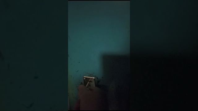 1000550556.mp4
