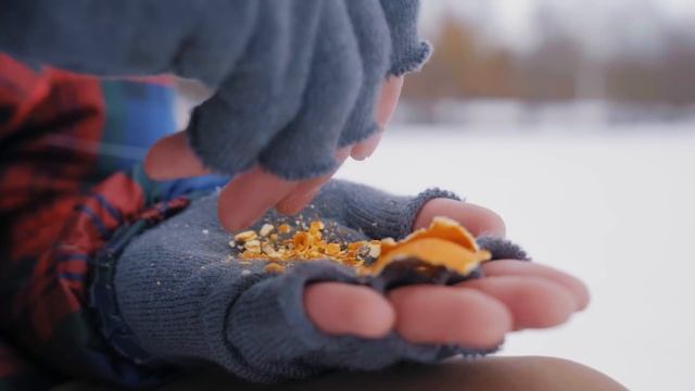Секреты зимней рыбалки