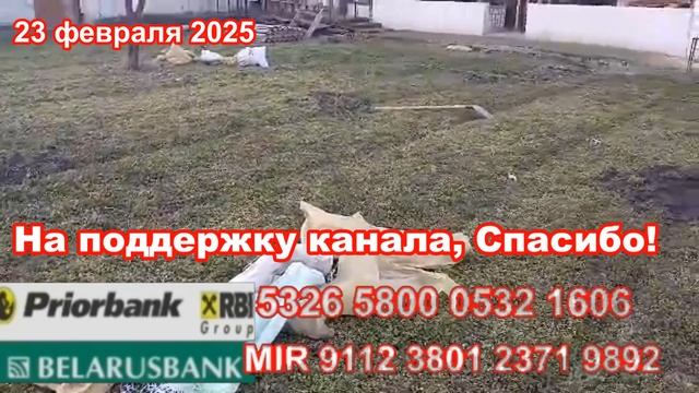 Узбекистан, Ташкент, 23 февраля 2025,  видео от Назаров Маруф        в\ч 02375 !