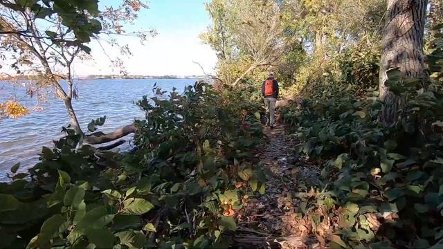 Palmyra Cove Nature Park, October 2020
