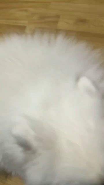 😍