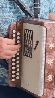 Смуглянка на гармошке#shorts