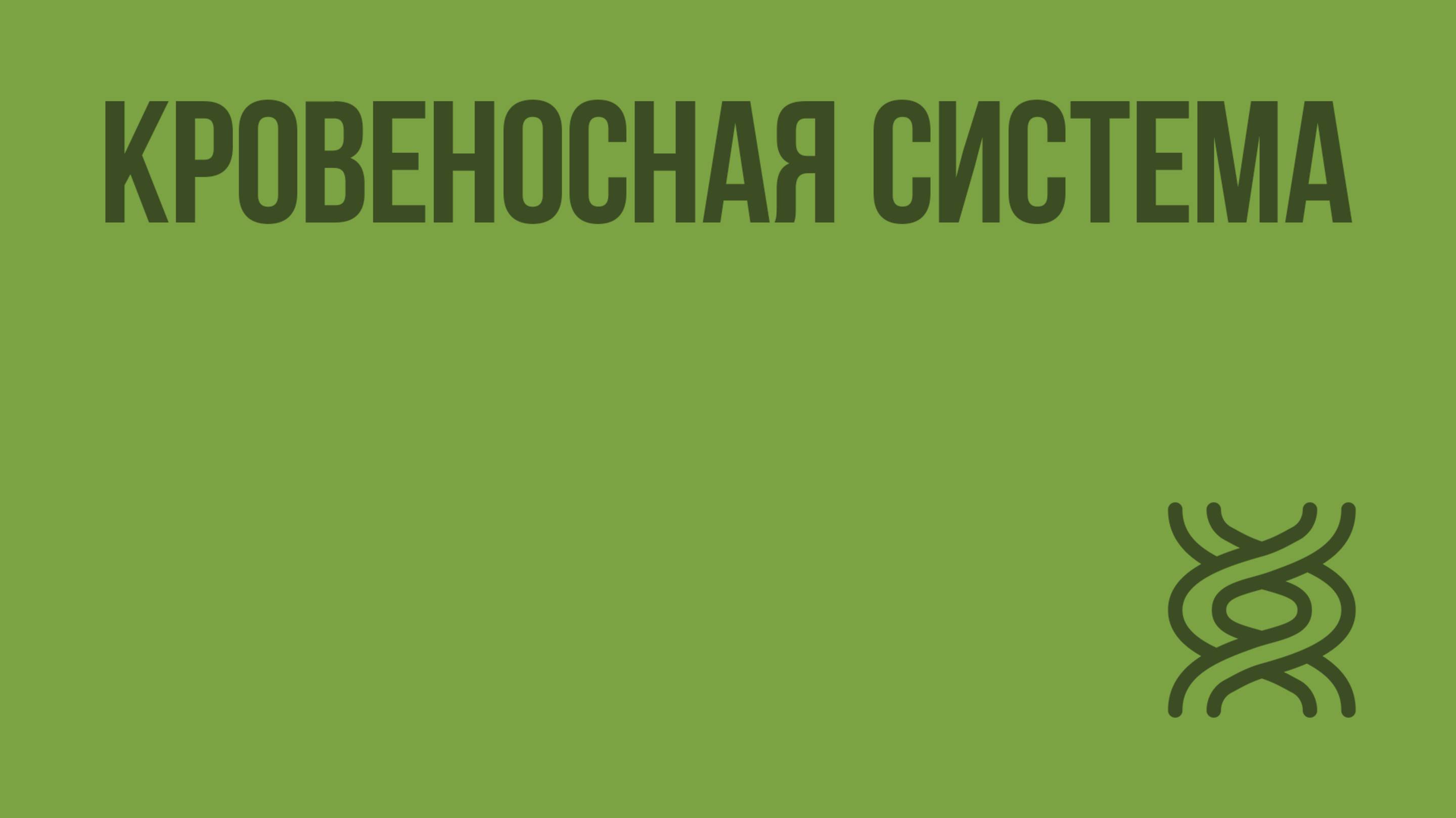 Кровеносная система. Видеоурок по биологии 7 класс