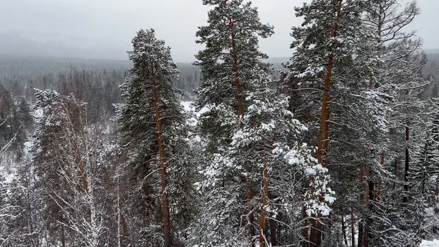 с.Тюлюк, вид с горы Луковая.