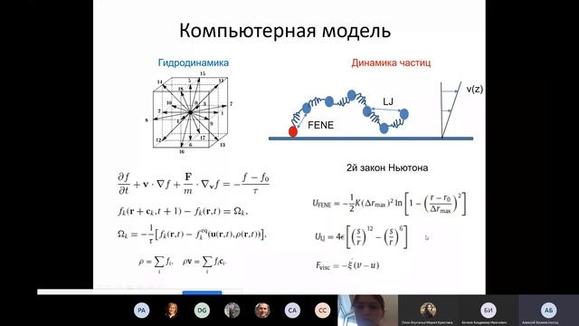 18.06.20 | Компьютерное моделирование механохимической роли фактора Вилебранда в первичном гемостазе