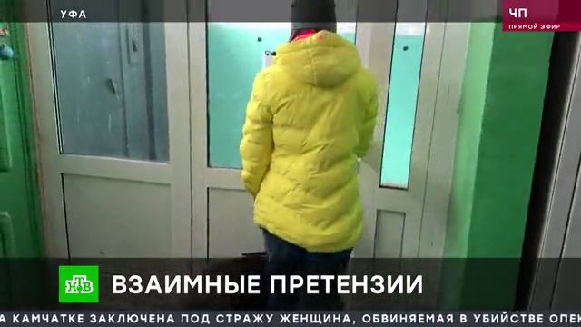 Собаки кошмарят жителей дома в Уфе