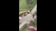 Задержание полицией. Хулиганы в Юрлово (Москва) Юрловский проезд, д. 14, корп 4