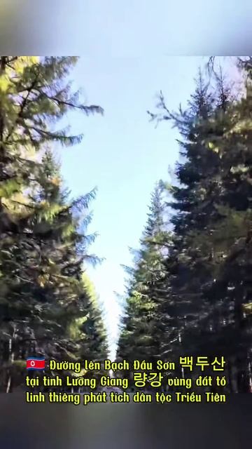 🇰🇵 Road to Mt Paektu in Ryanggang province🚗