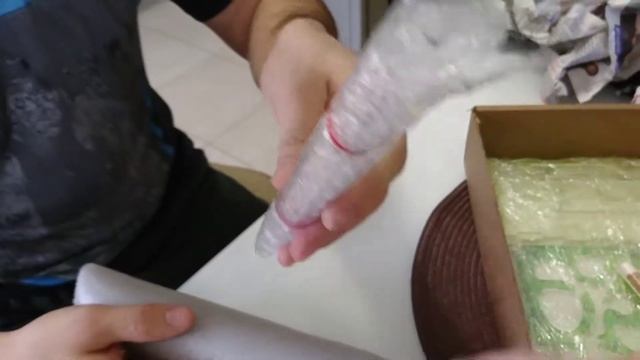 распаковка посылки с муравьями из ANTKINGDOM.ru