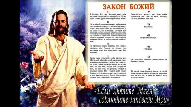 Про совесть и ответственность. Размышления на тему чужого ролика