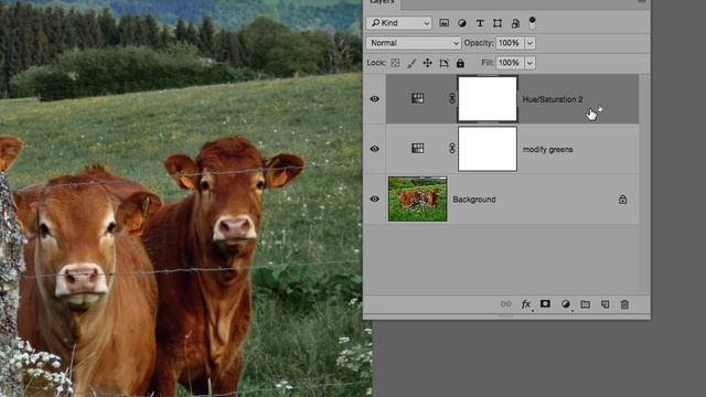 Wolf and horses fictitious magazine article part 20 - Learning Adobe InDesign 2017 by example