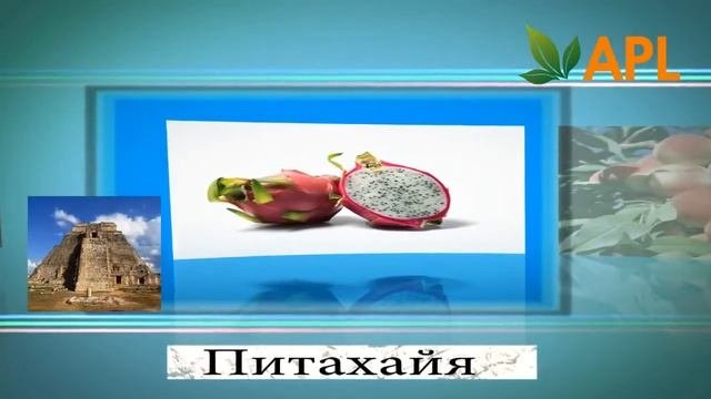 APL   Аналогов в мире НЕТ! Продукт нового поколения
