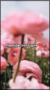 #Прекрасно дня