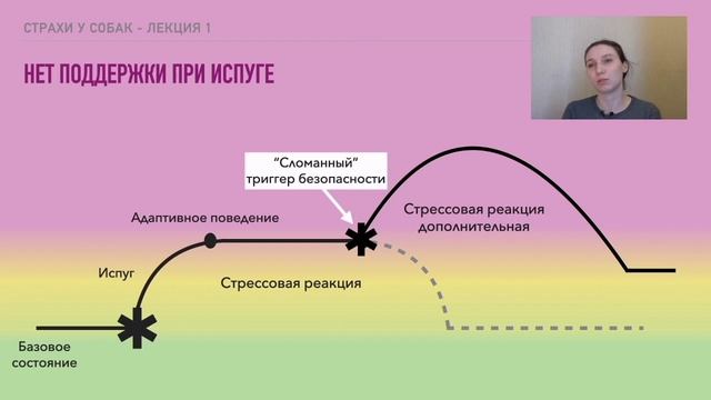 Что делать если собака испугалась?