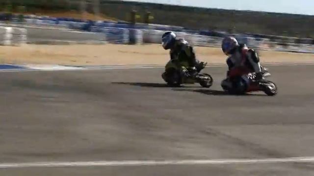 Carrera series+73Kg
