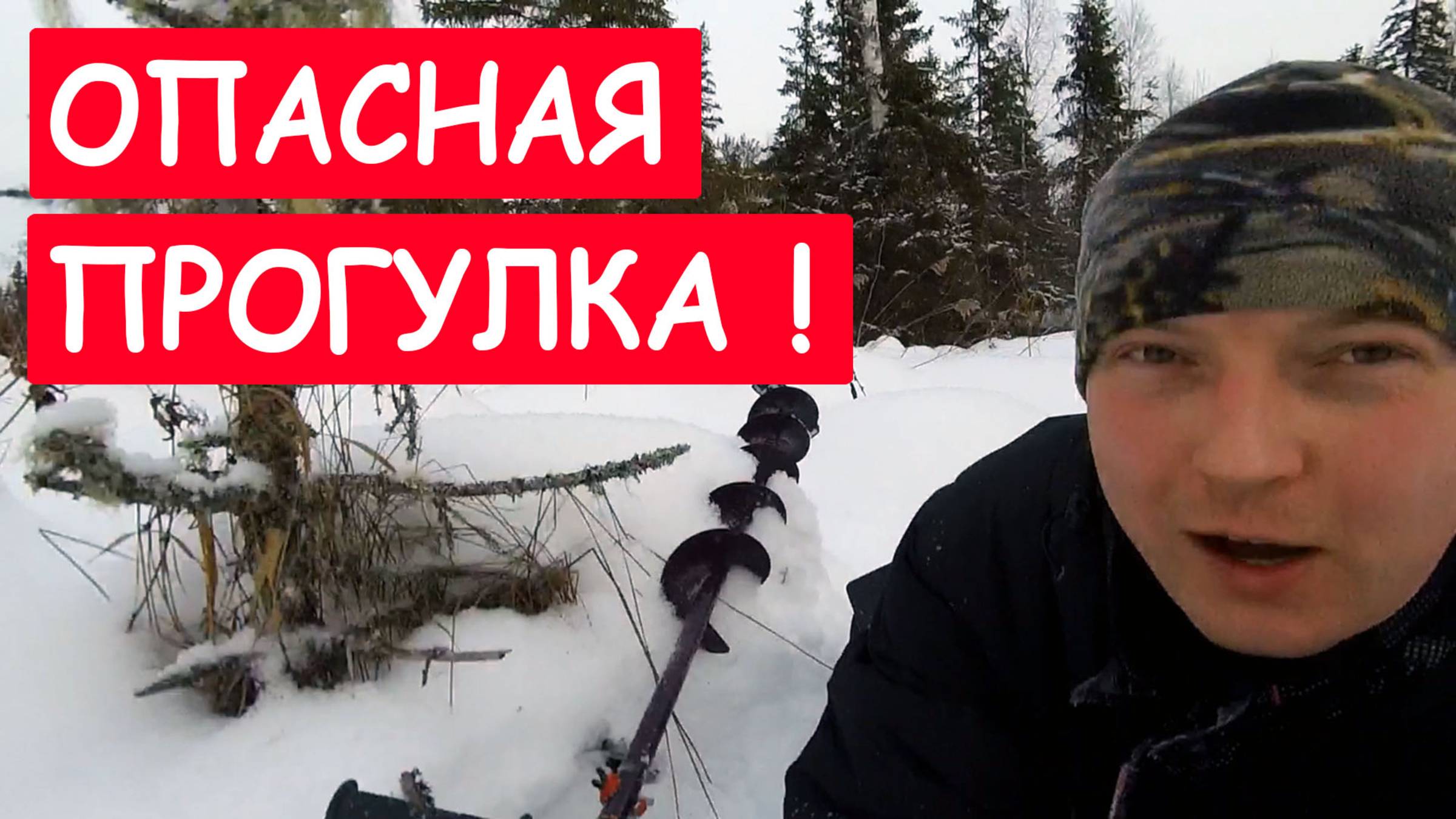 Небезопасное путешествие. Капризная рыбка. Северный лес.
