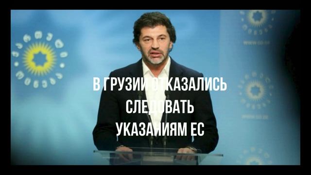 Генсек НАТО. Кушать насекомых. Грузия отказалась. Обмен. Кот Палмерстон.