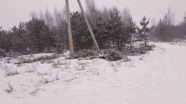 Первый день календарной весны - ЗИМНИЙ