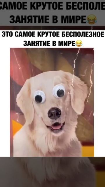 Глазки.