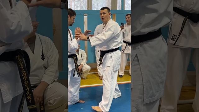Кёкусинкай / Зимняя Школа ФКР-2025 / Кумитэ / Проработка боевой стойки / Дмитрий Савельев (2)