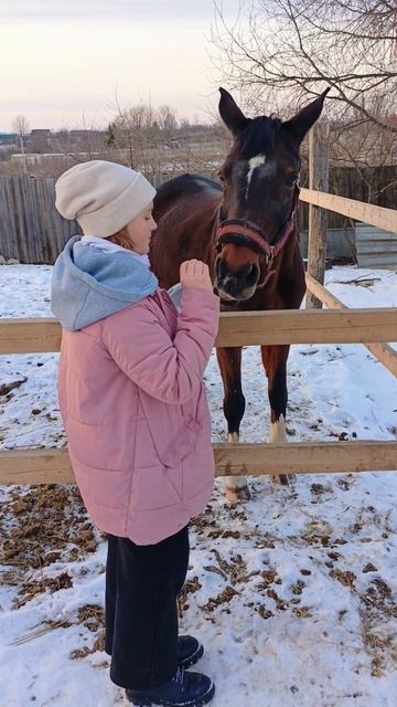 Алена и Флейта, выходной. #horse, #equestrian, #лошади, #pony, #конный спорт.