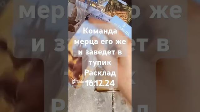 Видео WhatsApp 2025-02-28 в 08.23.02_08033b21