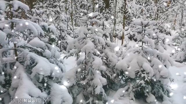 Вечер холодной зимы.