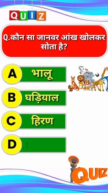 animal gk questions.education shorts video. #shorts #educationvideo #gkhindivideo
