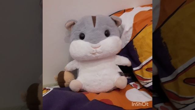 InShot_20250301_202742742.mp4