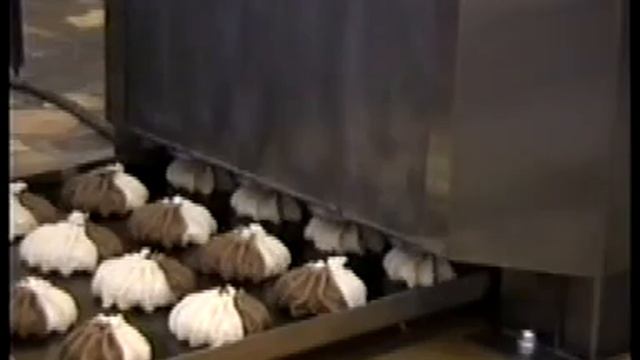 отсадочная машина МТК двухцветное печенье