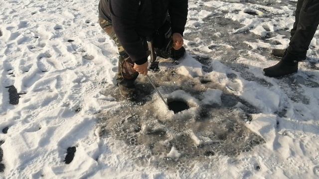 Светлые Горы Форель3 01.03.2025г.