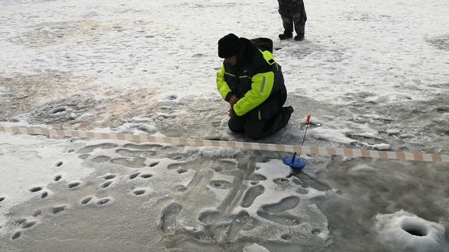 Светлые Горы Форель2 01.03.2025г.