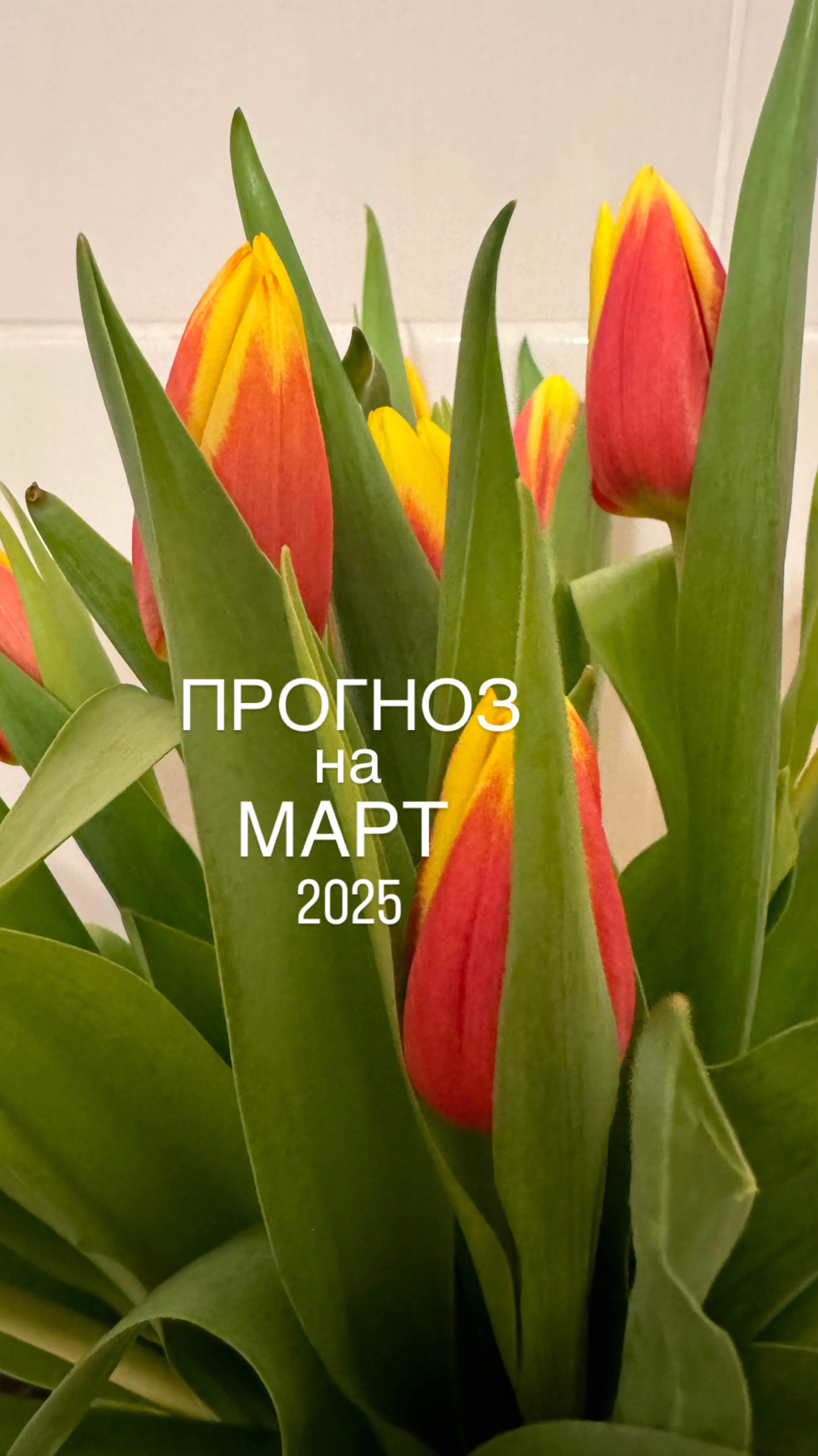 Астро прогноз на март 2025