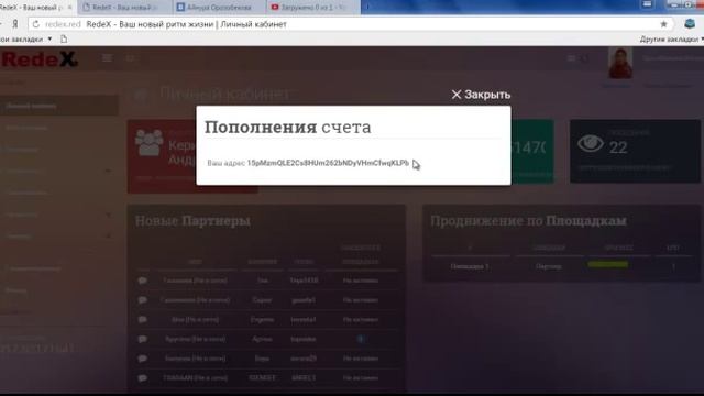 RedeX  Редекс  Как зарегистрироваться и оплатить площадку