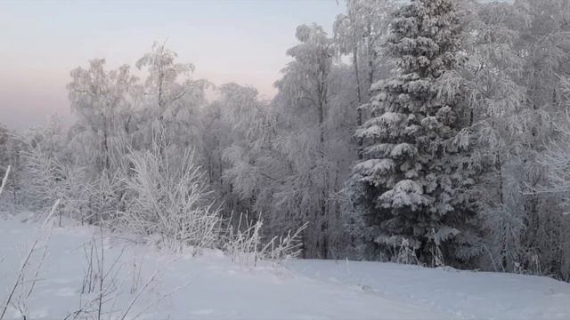 Гора Завьялиха.