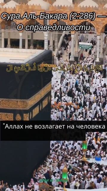 Сура Аль - Бакара
