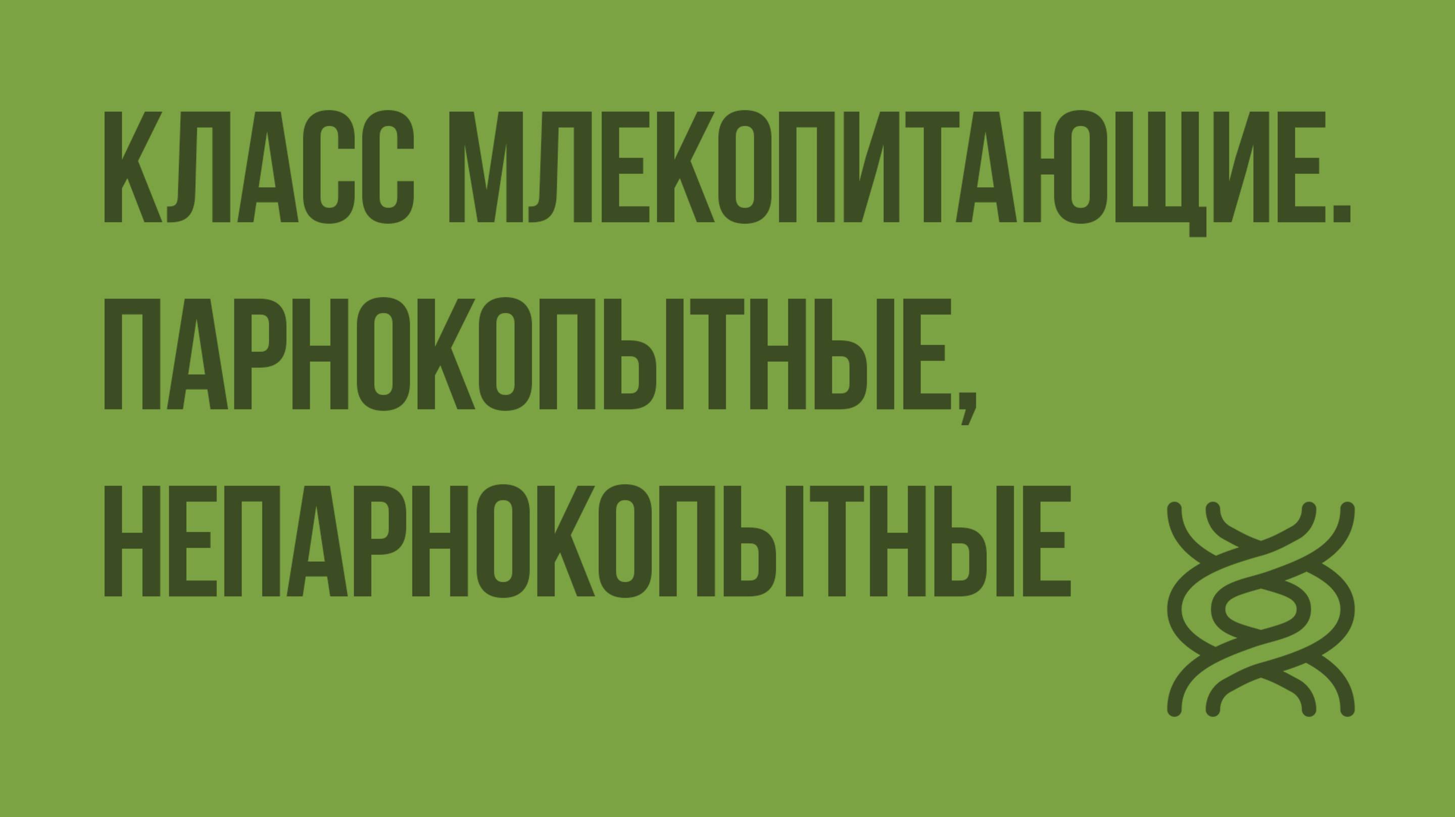 Класс Млекопитающие. Парнокопытные, Непарнокопытные. Видеоурок по биологии 7 класс