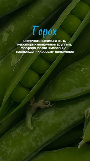 Начинаем подготовку к весне.