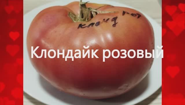 Томаты, ПОДХОДЯЩИЕ ДЛЯ детского и диетического питания