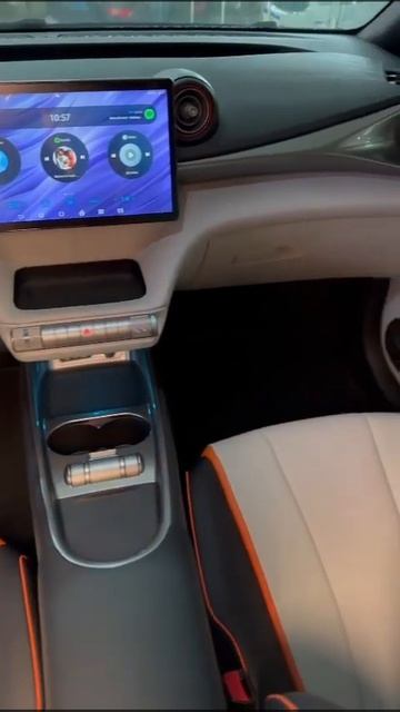BYD Dolphin | Linha Ocean BATERIA AUTOMOVEIS SC IMBITUBA