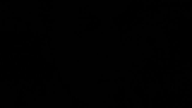 Самый чистый снег - песня на стихи Маэстро русского верлибра КАРЕНА ДЖАНГИРОВА