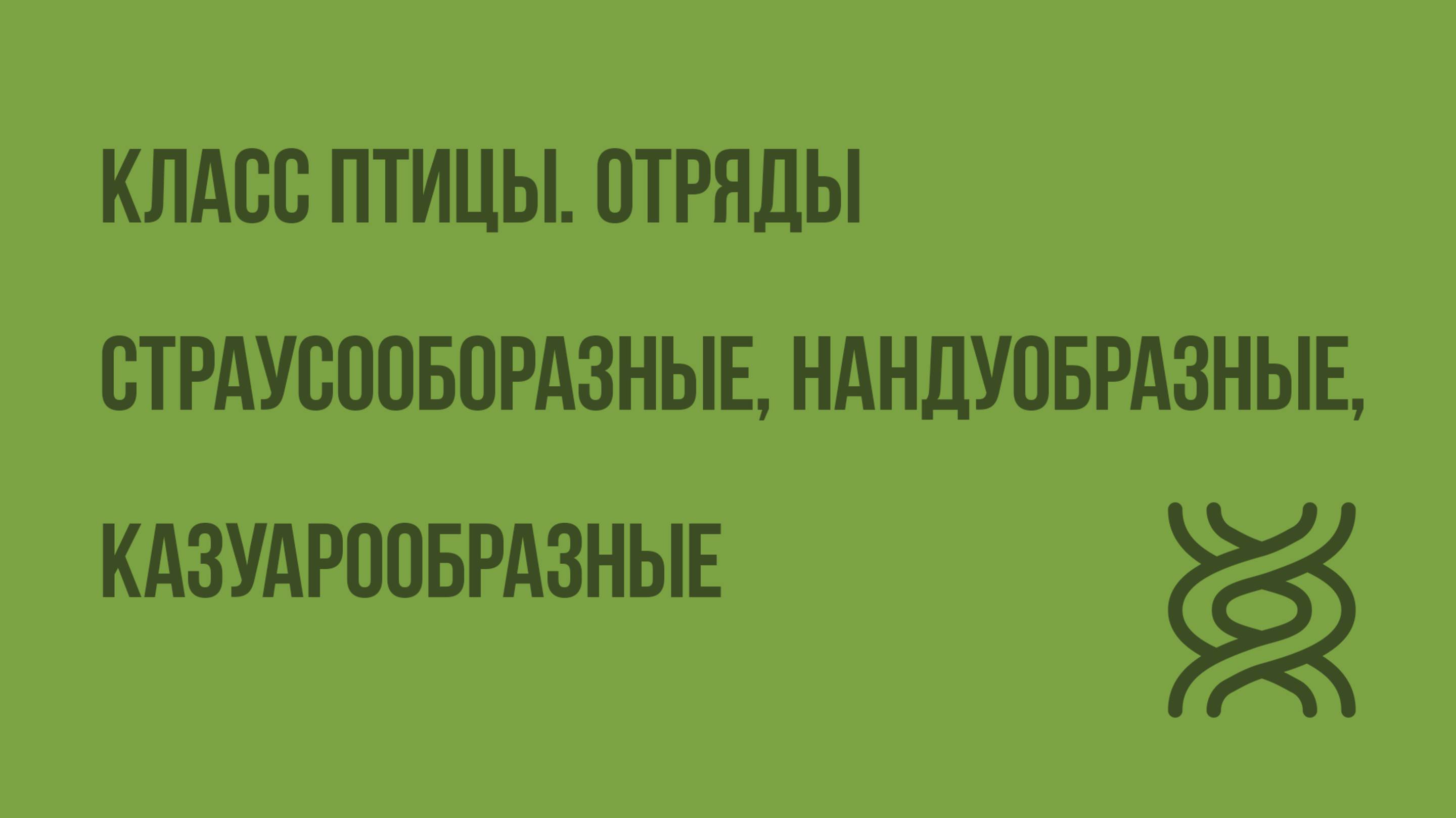 Класс Птицы. Отряды Страусооборазные, Нандуобразные, Казуарообразные, Гусеобразные. Видеоурок